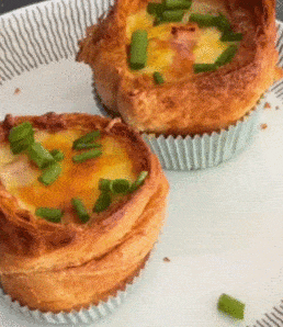 Egg Muffins